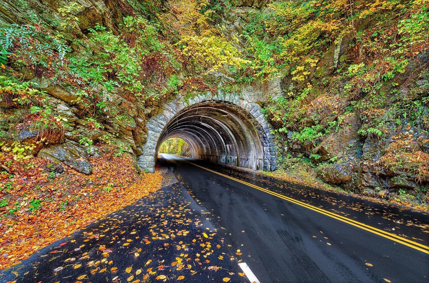 Time To Cuddle, Wifi, Near Pigeon Forge, 1089 Free Tickets Each Paid Day, Dollywood And More المظهر الخارجي الصورة