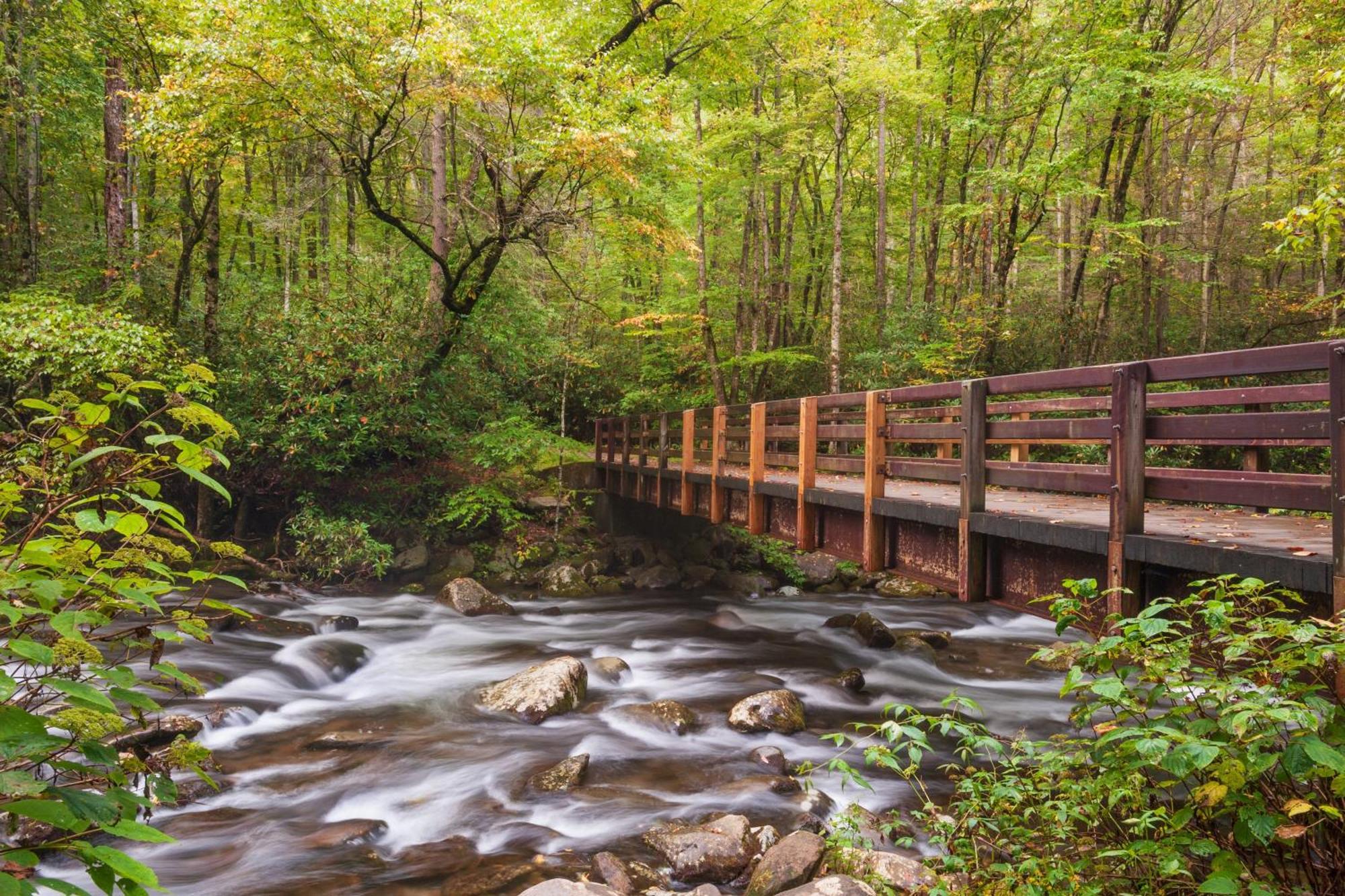 Time To Cuddle, Wifi, Near Pigeon Forge, 1089 Free Tickets Each Paid Day, Dollywood And More المظهر الخارجي الصورة