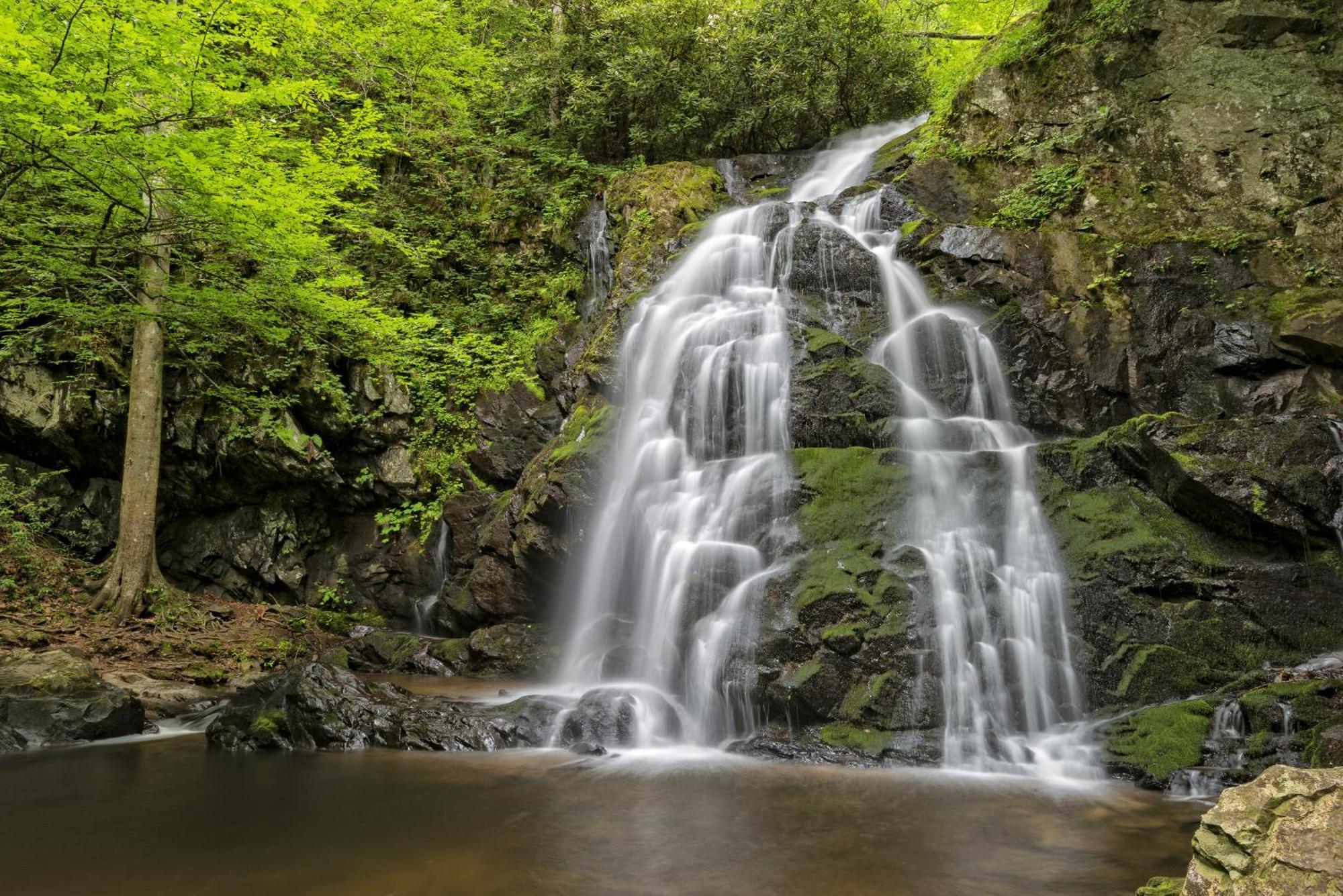 Time To Cuddle, Wifi, Near Pigeon Forge, 1089 Free Tickets Each Paid Day, Dollywood And More المظهر الخارجي الصورة