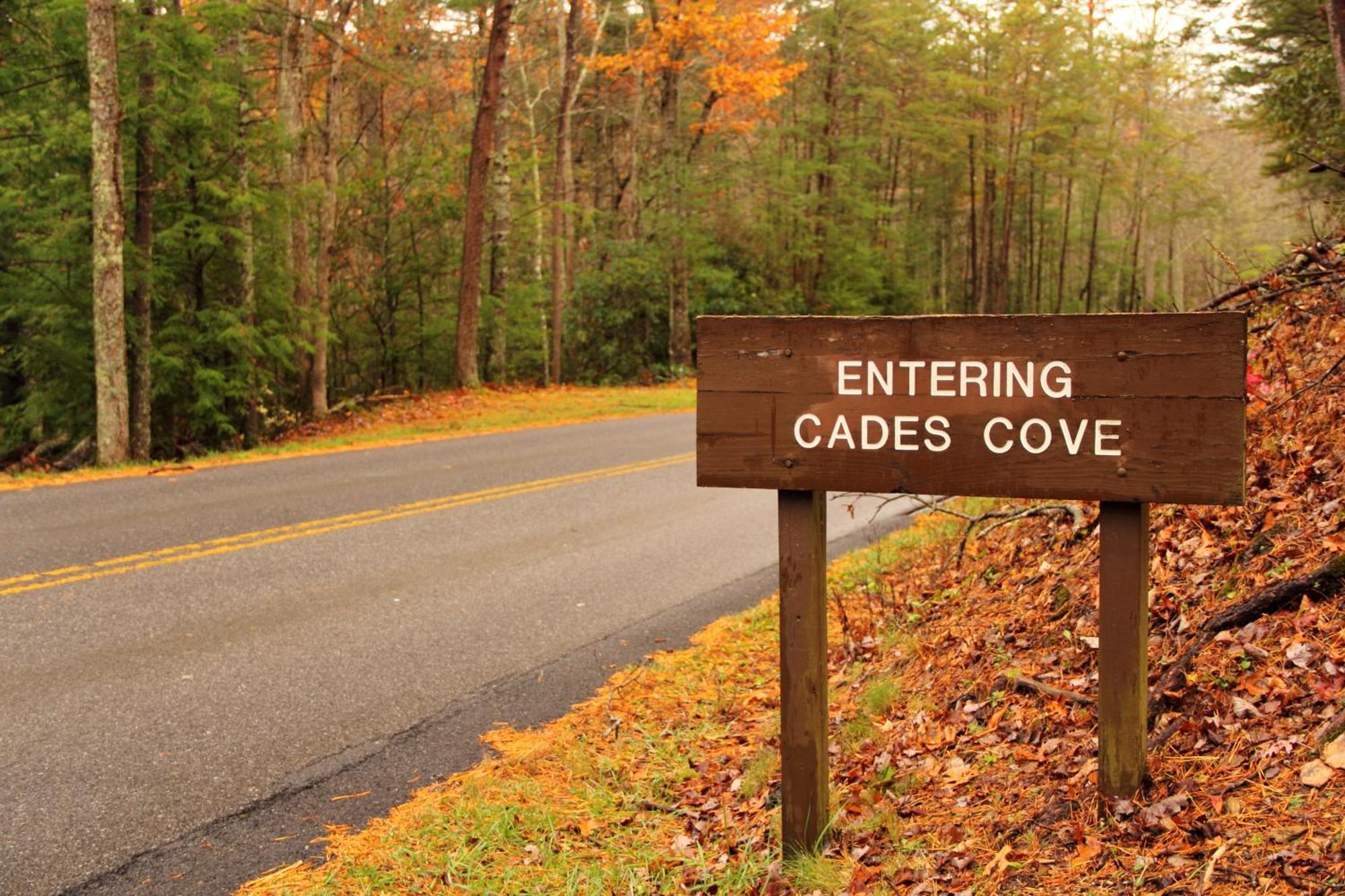 Time To Cuddle, Wifi, Near Pigeon Forge, 1089 Free Tickets Each Paid Day, Dollywood And More المظهر الخارجي الصورة